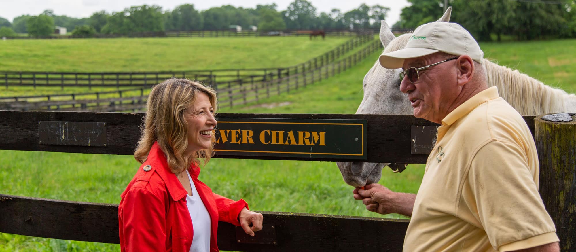 Old friends thoroughbred - places to love - lousiville, kentucky
