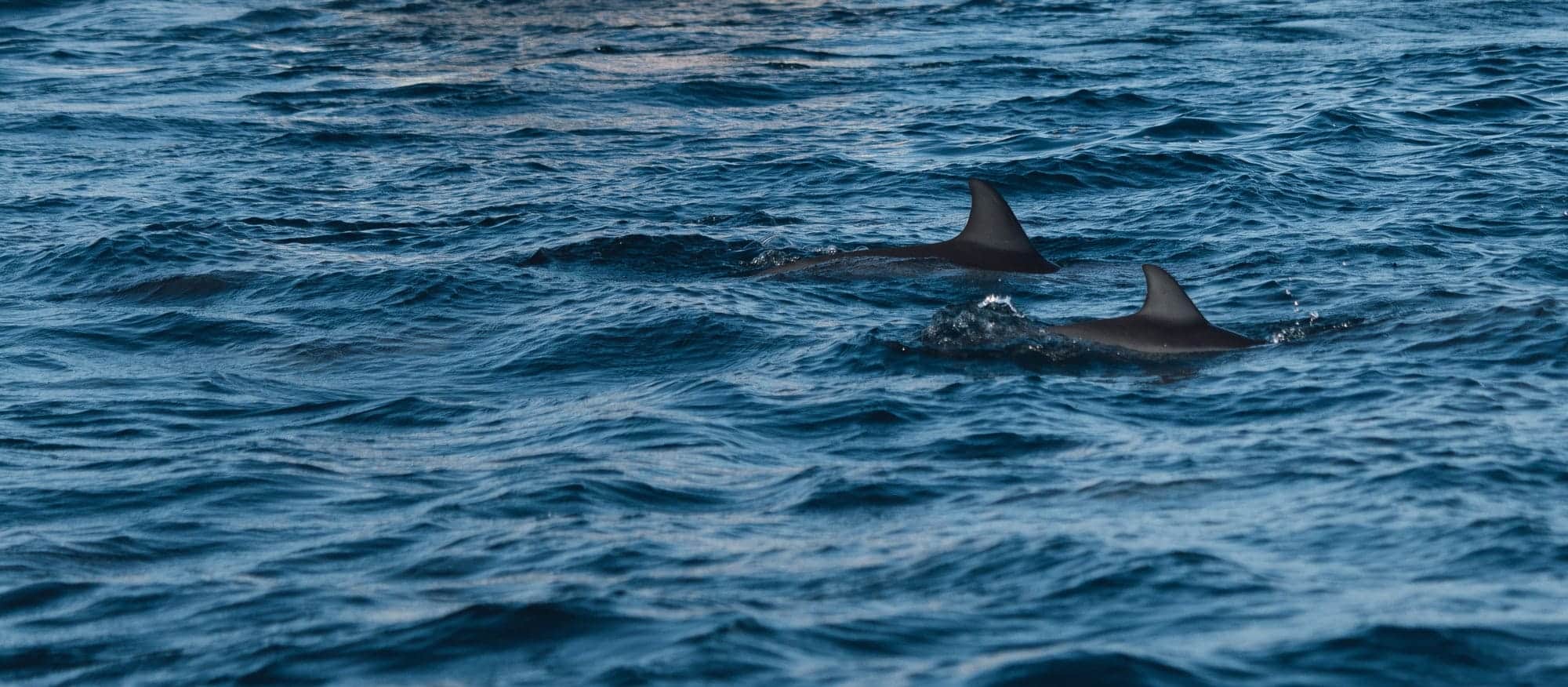 Naples florida and the paradise coast - samantha brown