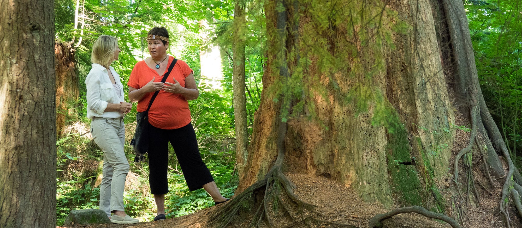 Samantha takes a Talking Trees Tour - Vancouver